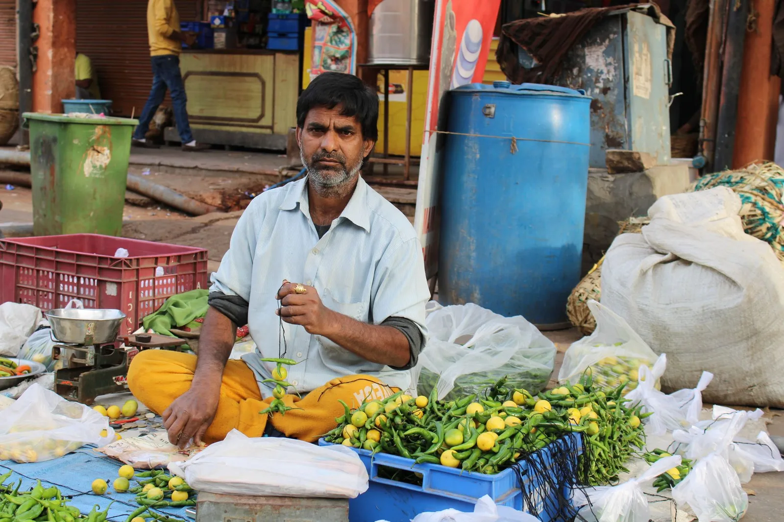 A street vendor selling fresh vegetables in Jaipur's vibrant market, showcasing local commerce.